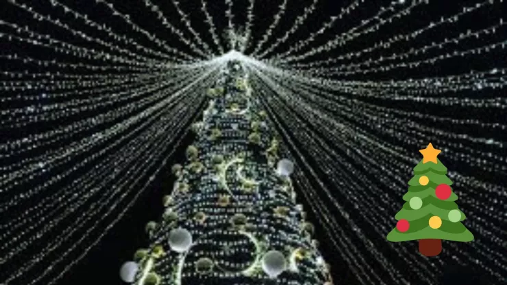 ¿Cuándo es el encendido del árbol de Navidad y decoración en el centro de Aguascalientes 2024?