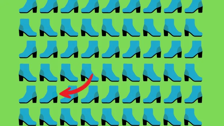 acertijo visual