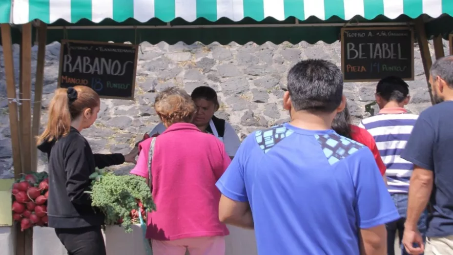 Mercado trueque_Sedema.jpg