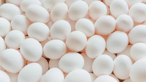 Precio del huevo del 16 al 22 de noviembre