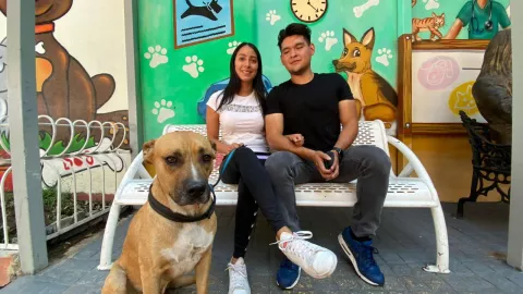 perrito jakson adopción metro cdmx