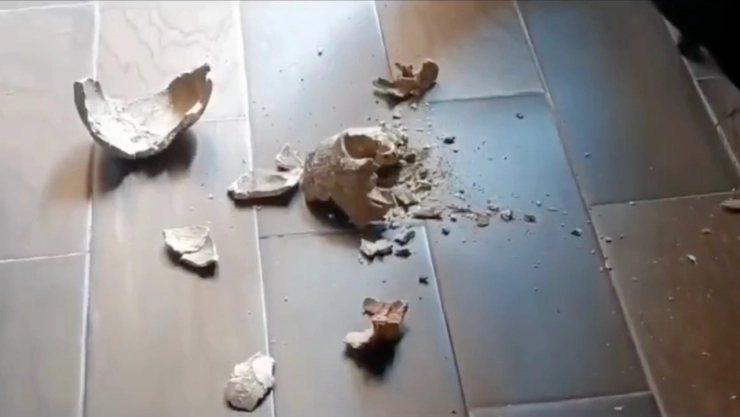 VIDEO: Rompen cráneo de 700 años de antigüedad durante exhibición en Puebla