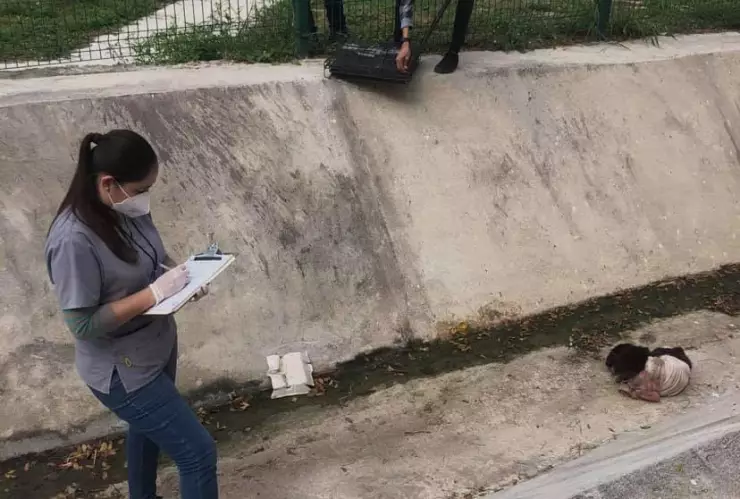 Perrito abandonado en un canal de 2.jpg