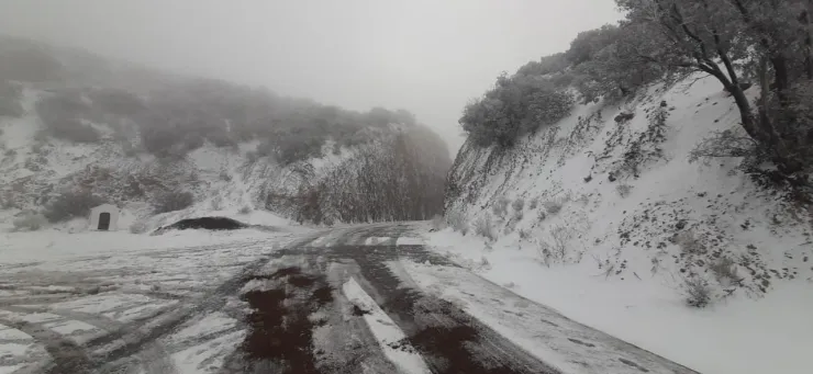 nieve-chihuahua-carretera
