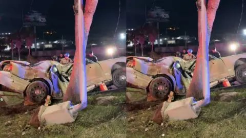 Prensado en Rosas Magallón