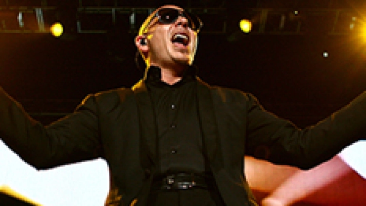 pitbull