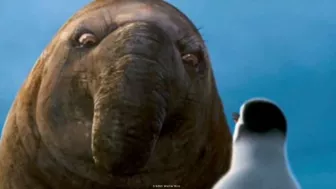 Mensajes de Happy Feet5.jpg