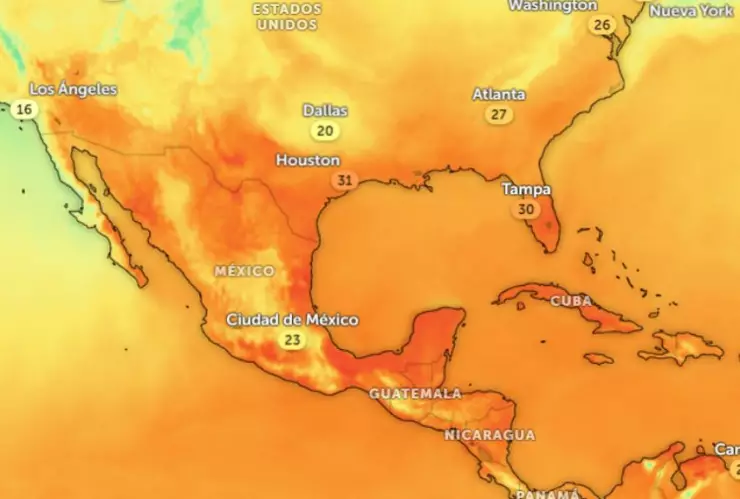 El niño calor