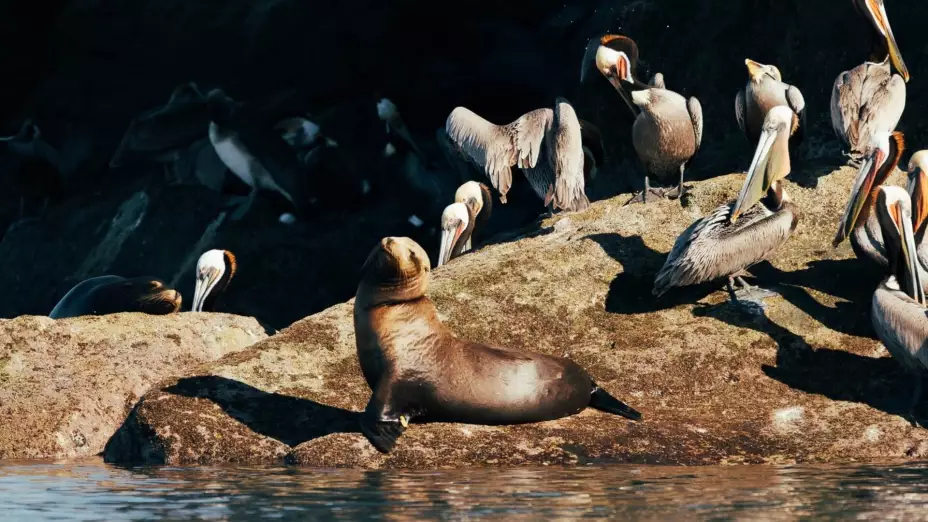 WhatsApp Image 2026-03-30 at 12..jpg