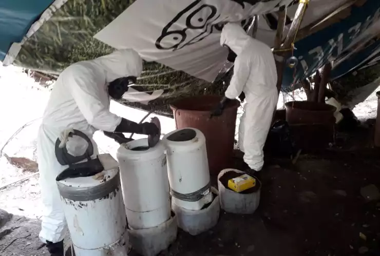 narcolaboratorios en sinaloa