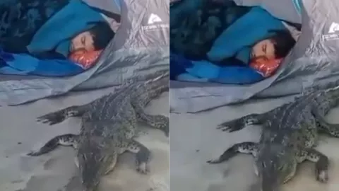 ¡No quiero despertar a mi compa! Joven se duerme con un cocodrilo en una playa de Jalisco