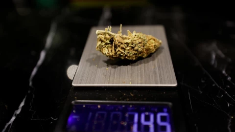 Otorgan primeras licencias para vender marihuana en Nueva York