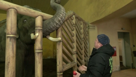 FOTO1_UCRANIA_ZOOLOGICO_ANIMALES_KIEV.jpg
