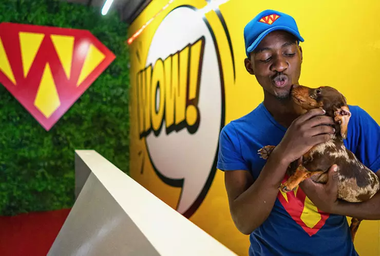 Hotel para perros seis estrellas en Sudáfrica desata polémica