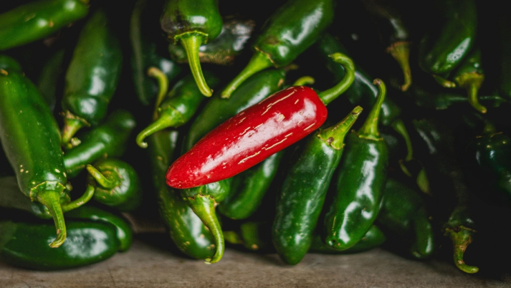 Anuncian-retiro-de-chiles-jalapeños-por-precaución-ante-brote-de-salmonela-_1_.webp