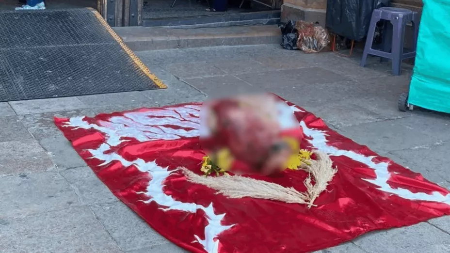 Localizan una cabeza de vaca en la Catedral de San Luis Potosí