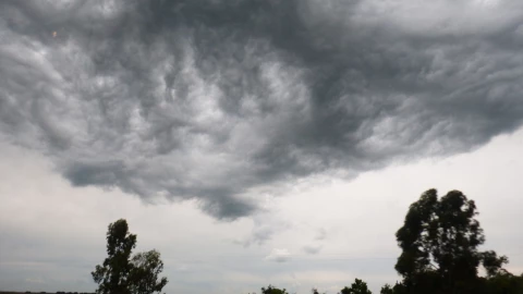 Tormenta Chihuahua.jpg