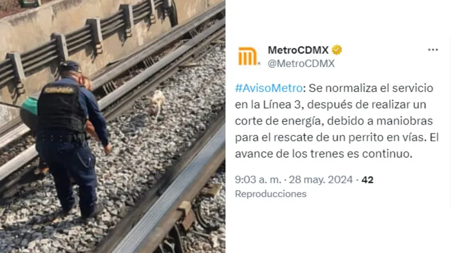 Retrasos en Línea 3 del Metro CDMX en vivo por un perrito