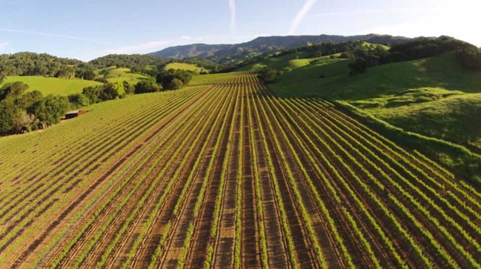 valle suisun california
