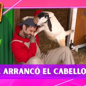 Una chiva sorprendió a Fernando Lozada al intentar arrancarle el cabello a mordidas en La Granja VIP