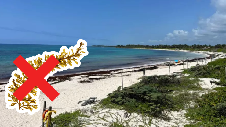 Conoce las playas libres de sargazo en Tulum, Carrillo Puerto, Bacalar y Chetumal HOY 15 de septiembre de 2025.jpg