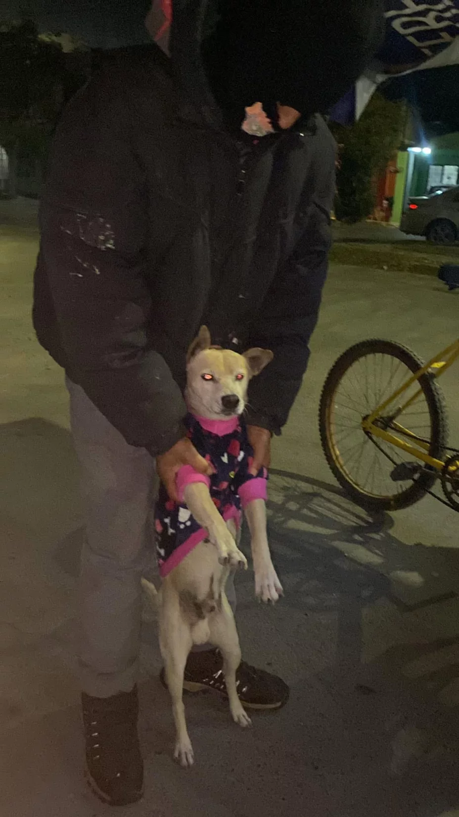 Él es Huesos el perrito que acompañaba al abuelito que vendía elotes en Escobedo.jpg