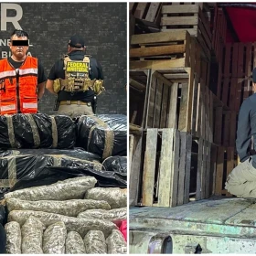 Descubren 1.2 toneladas de marihuana en huacales en camión de carga.