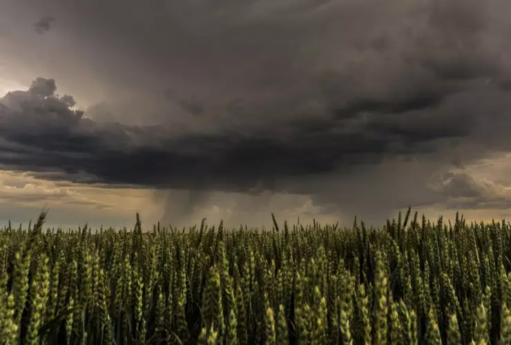 Clima Aguascalientes ¿Cuándo inicia la temporada de lluvia en México 2025 y cuáles serán los estados más afectados