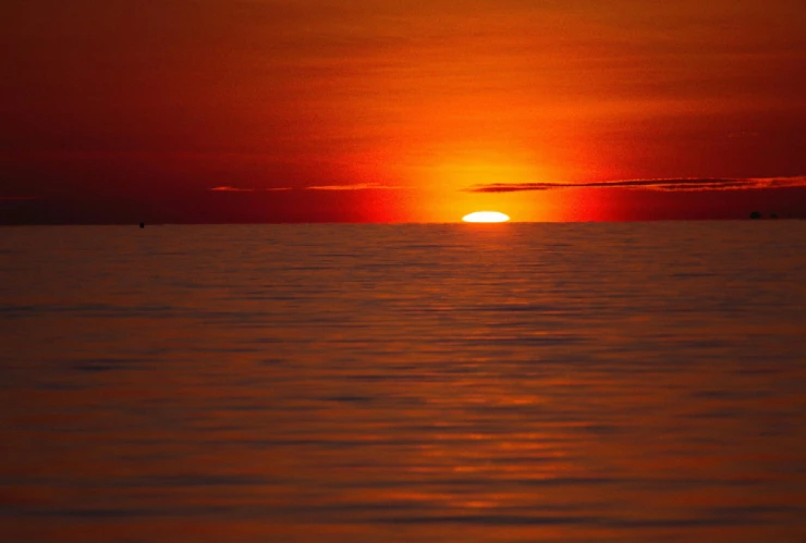 Frase del día de HOY 25 de enero de 2026_ Mensaje inspirador para reflexionar este domingo.webp