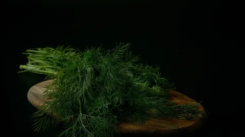 El eneldo es una de las plantas que no debes tener en la cocina, ya que atrae insectos