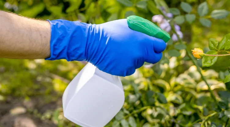 El pesticida libre de químicos que actúa sobre tu jardín todo el año