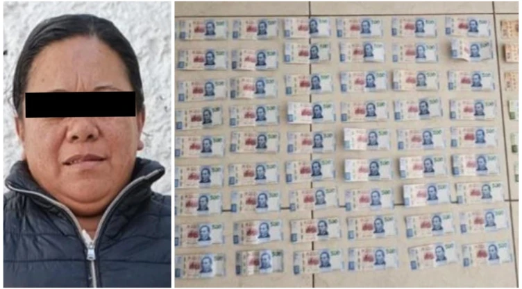 empleada domestica cdmx detenida robar dinero patrona.jpg