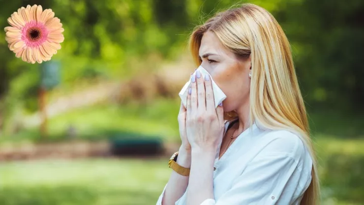 Las flores comunes que disparan la alergia en primavera y cómo sustituirlas.jpg