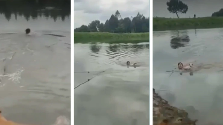 Perrito rescate mujer laguna