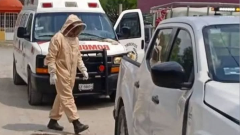 Ataque de abejas en Tochtepec deja seis lesionados