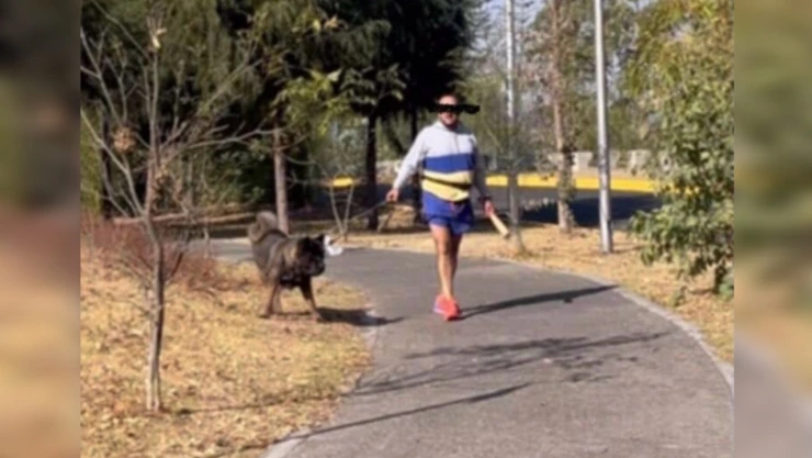 Hombre golpea perros con bate en Fuertes de Loreto y Guadalupe