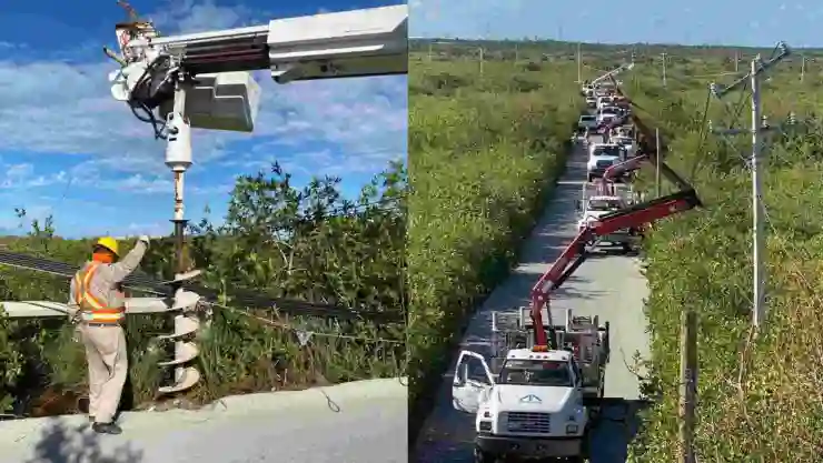 cfe compra carbon productores pequeños.jpg