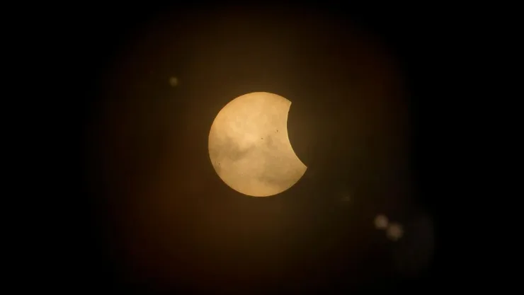 ¿Afectará el Eclipse Solar 2024 a los animales? Esto dicen expertos