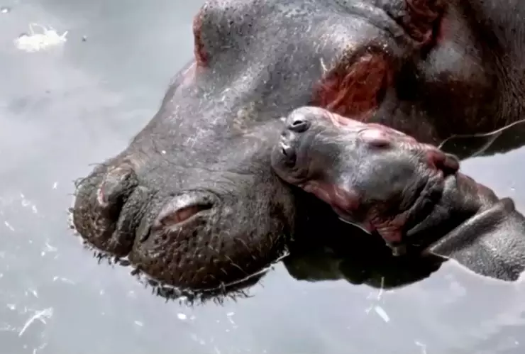 WhatsApp Image 2020-07-21 at 12.35.51.jpeg