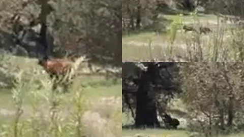 blockquote class=tiktok-embed cite=httpswww.tiktok.com@karolinageitsvideo7313258300907343150 data-video-id=7313258300907343150 style=max-width 605px;min-width 325px; section a target= - 2024-08-04T100609.591.png