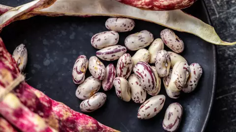 Retiran del mercado marca de frijoles