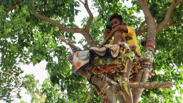 shiva_india_arbol.jpg