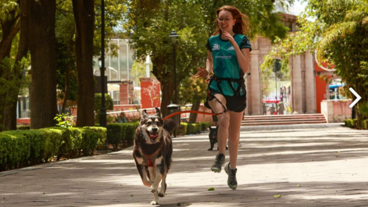 Carrera P-Run Querétaro 2024, requisitos e inscripciones