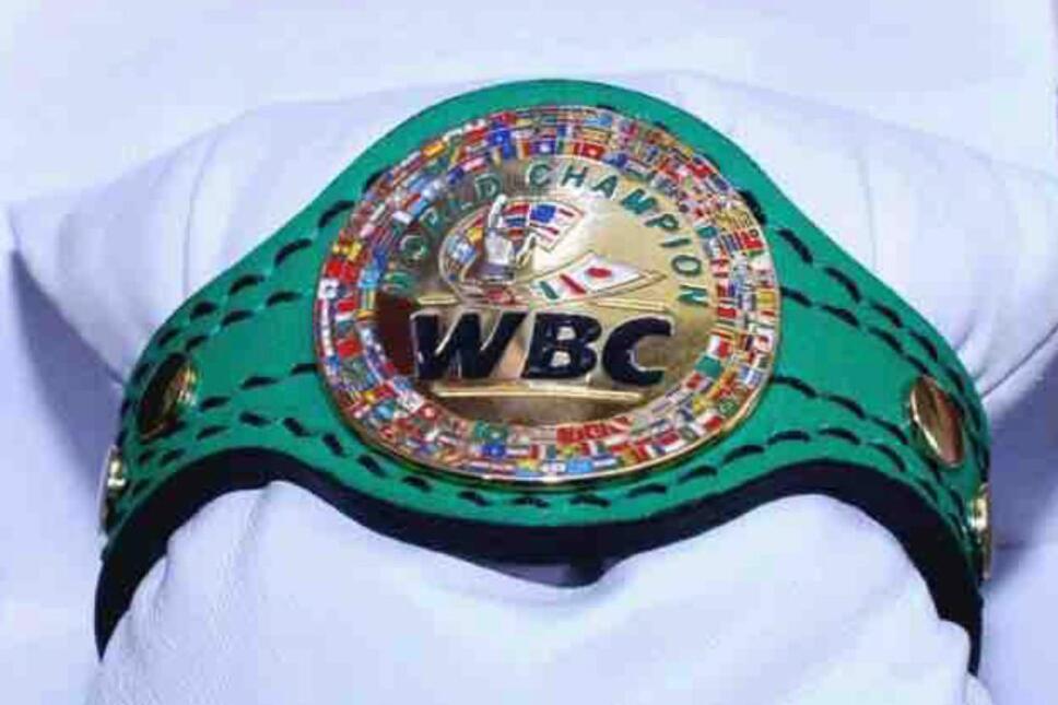 Pulsera campeón CMB.jpeg