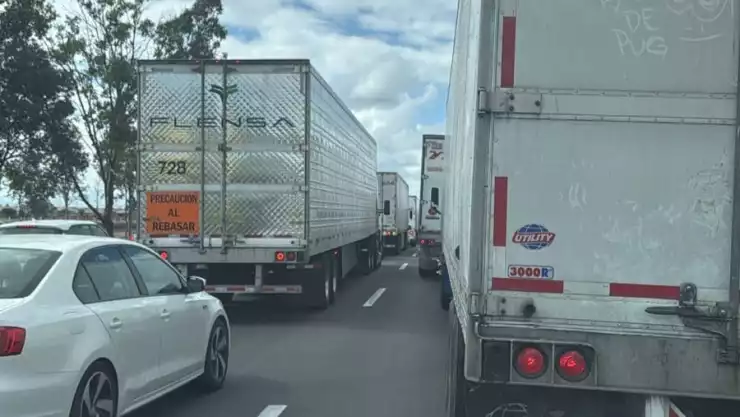 Cierre Palmillas.jpeg