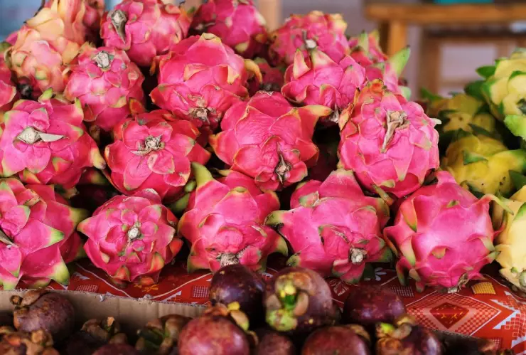 Feria de la Pitahaya 2024