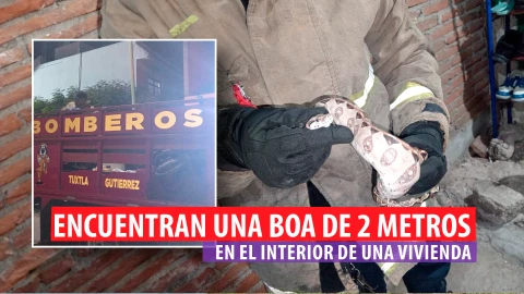 Boa serpiente casa Tuxtla Gutiérrez