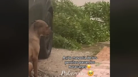 WhatsApp Image 2023-10-26 at 4.09.02 PM.jpeg