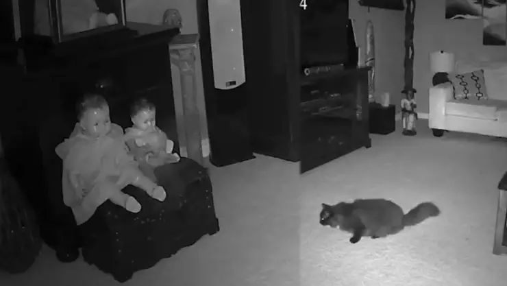 Fantasma sale de muñecas y ataca a gato.jpg