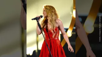 Shakira concierto.jpg